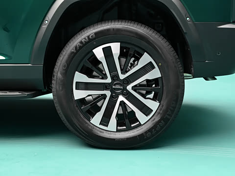 2026�� 255km ������