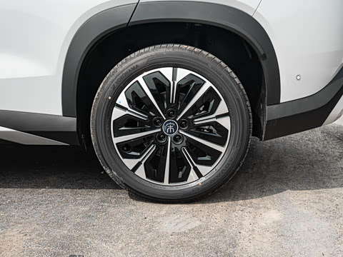 2026�� DM-i 310KM ׿Խ��