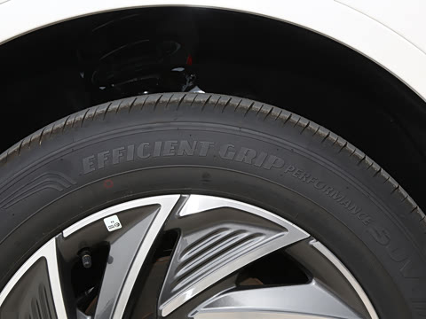 2025�� 1.5T ���������춯��