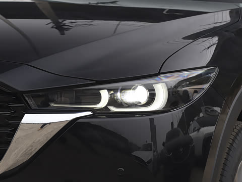 2025�� 2.0L �Զ�����������