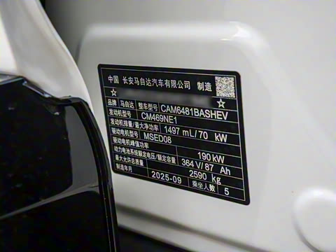 2025�� ����200 Max