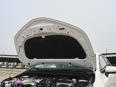 2026�� 1.2T ��Ӣ��