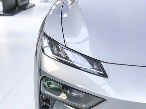 2025�� ���� 230ProѲ����