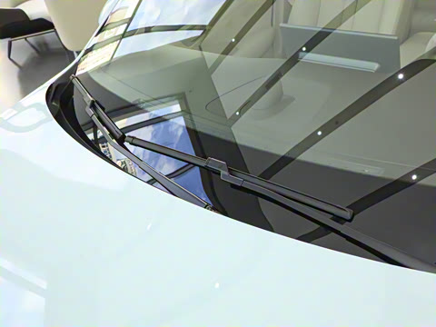 2025�� ���� Max