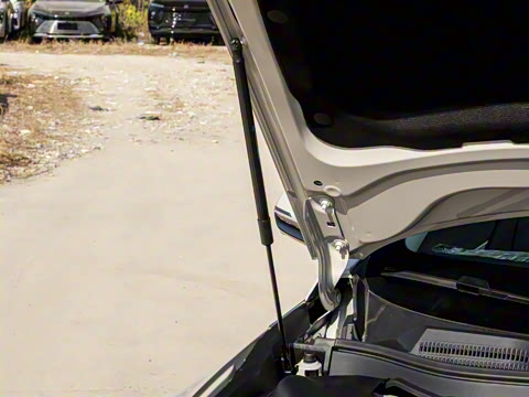 2025�� ������