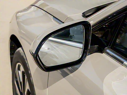 2025�� ������