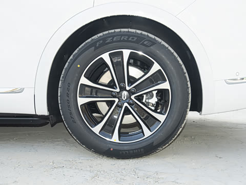 2026�� ���� Max�������� 6��