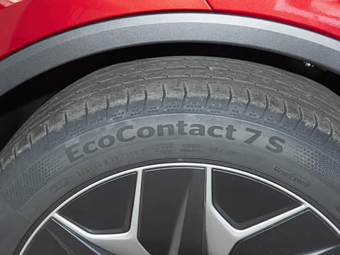 2025�� ������ȫ��������