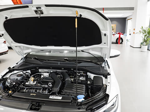2026�� 300TSI DSG���ݰ�