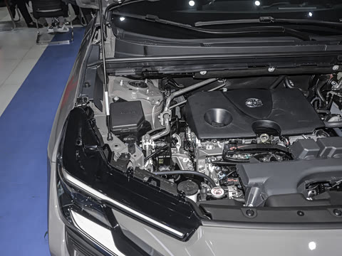 2026�� 2.0L ����������