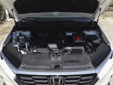 2026�� ȫ��30����ҫ�� 1.5T ��������5����