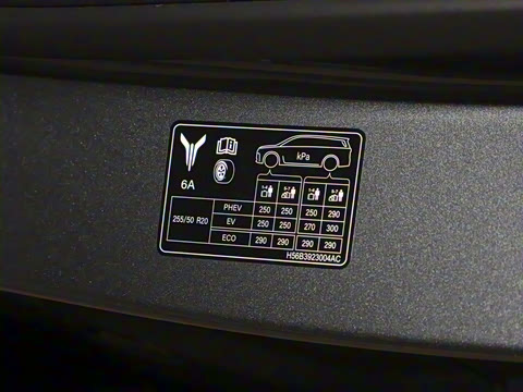 2025�� EV �������������