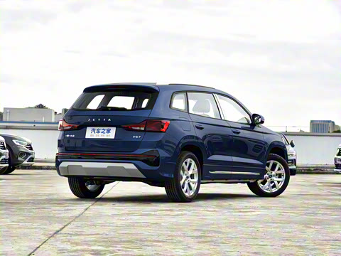 2026�� 280TSI �Զ��ȷ��