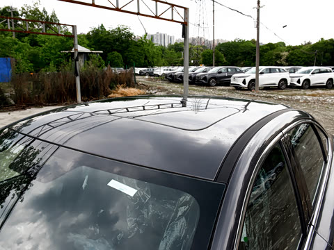 2026�� 1.5L �������� ������