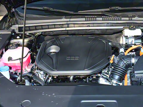 2026�� 125km���ڰ�