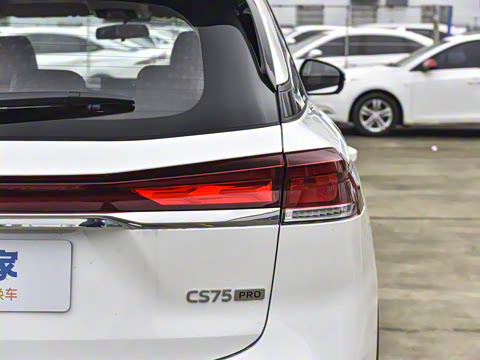 2026�� PRO 1.5T DCT ������ 5��