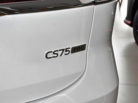 2025�� PRO 1.5T DCT ������ 7��