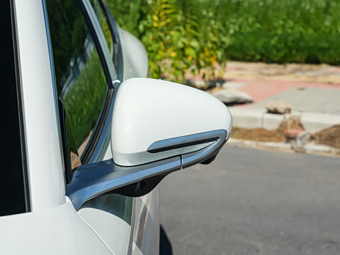 2026�� DM-i 1.5T 135km �����