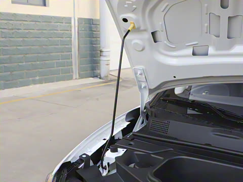 2026�� ֿ���� 330 Ultra