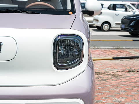 2026�� 222km ������