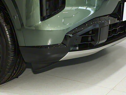 2025�� 205km Pro+�����״��