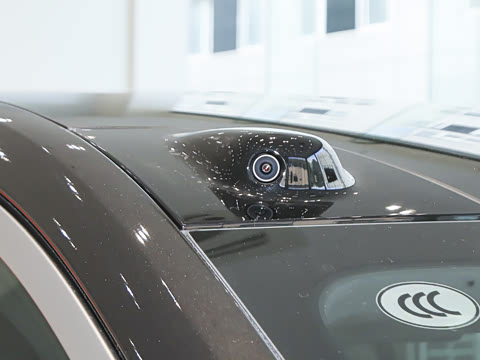 2025�� Max ������