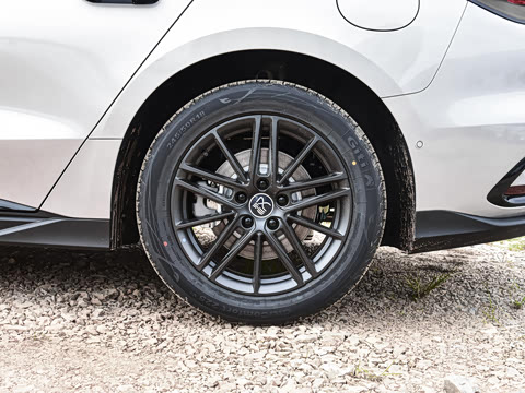 2025�� DM-i �Ǽݰ� 245KM�����