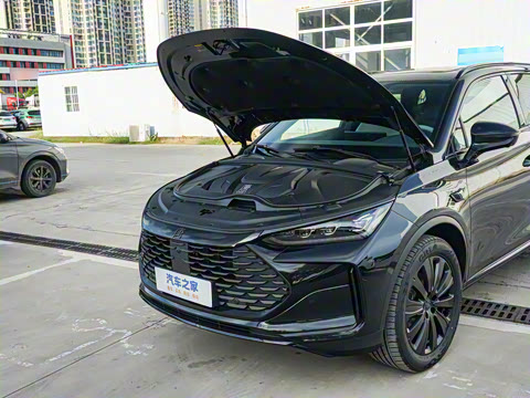 2025�� �Ǽݰ� DM-i 175KM �����