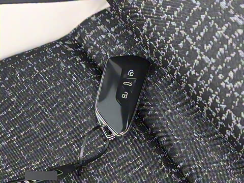 2025�� �Ŀ� 300TSI Pro