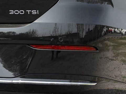 2026�� L 300TSI DSG ������