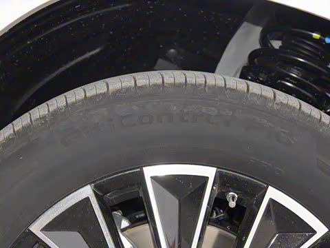 2025�� 205km Pro+��