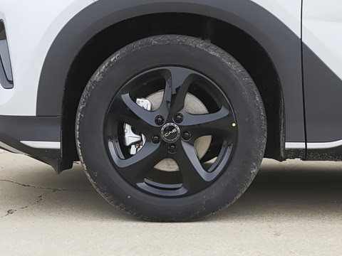 2026�� DM-i 220������
