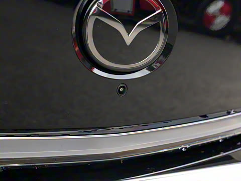 2025�� ����600 Max