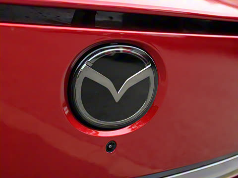 2025�� ����600 Max