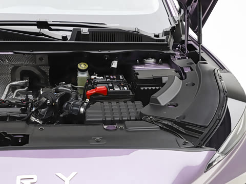 2026�� ������