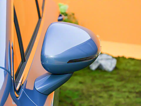 2025�� ���� Max