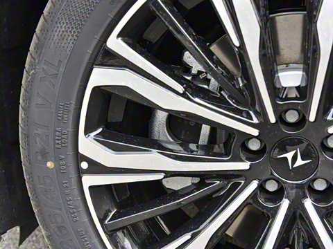 2026�� �������̼�����