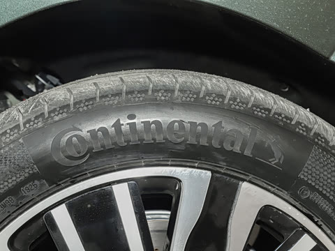 2025�� ������