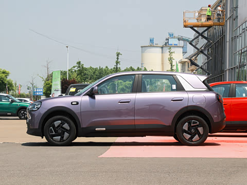 2026�� 310�Ȱ���