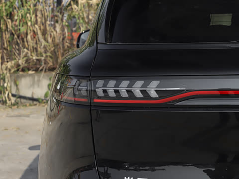 2025�� FREE+ ����Ǭ����