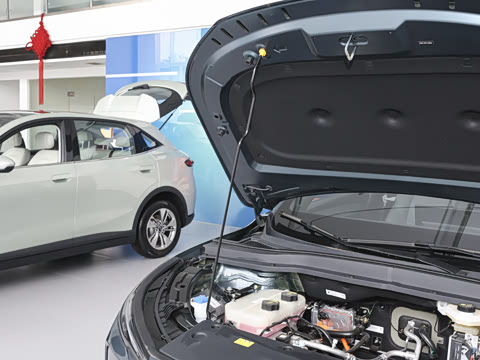 2026�� 565km ������