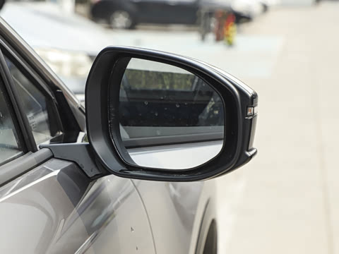 2026�� ������ PRO