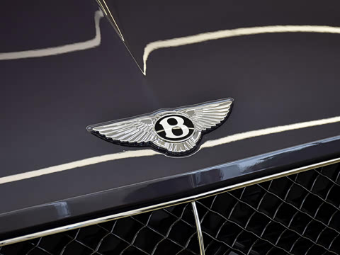 2024�� 4.0T GT V8 �ŶȰ�