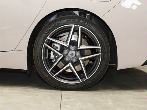 2025�� 630 Lite��