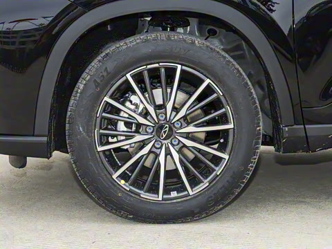 2025�� 290T ��������+