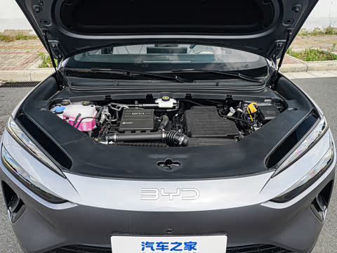 2026�� DM-i 310Զ����