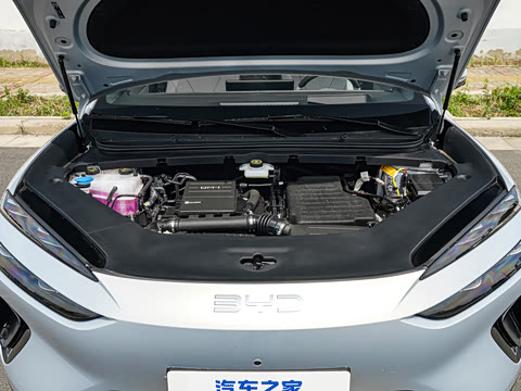 2026�� DM-i 310�콢��