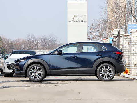 2025�� 2.0L �Զ�������