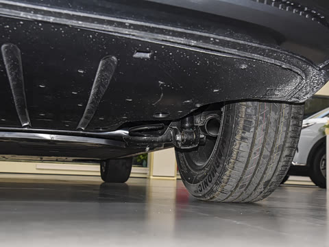 2025�� 565km ������