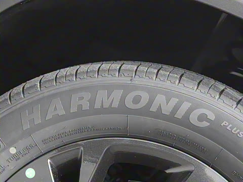 2025�� 518�����͹ھ���